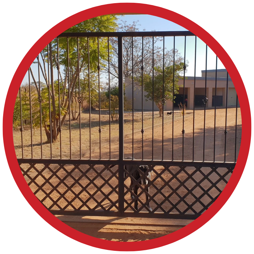 Copy of Helvetica World_20251114_091815_0000